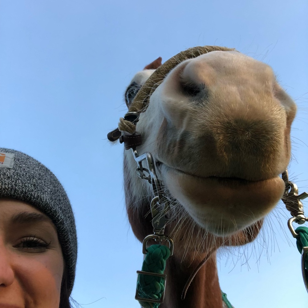 Meet your Posher, Ashtyn